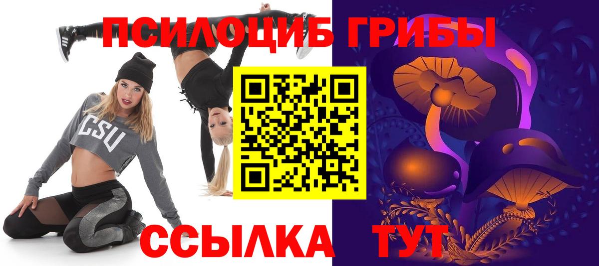 Павловский Посад  Псилоцибиновые грибы прущие грибы  Вход с VPN 