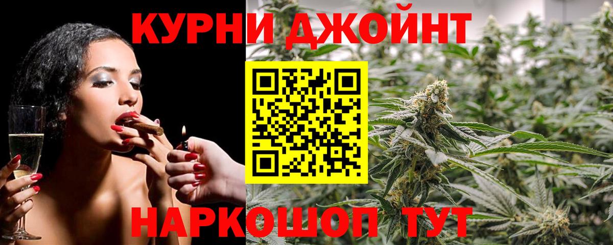 Конопля гибрид Павловский Посад